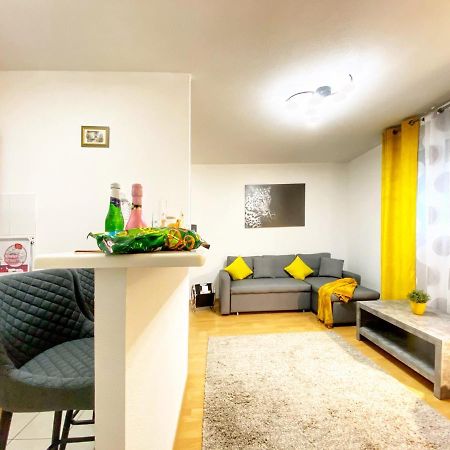 Centre Ville Au Calme , Parking Prive Interieur Car Et Bike Saverne Exterior foto